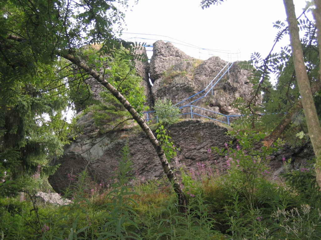 IMG_4582.JPG.jpg