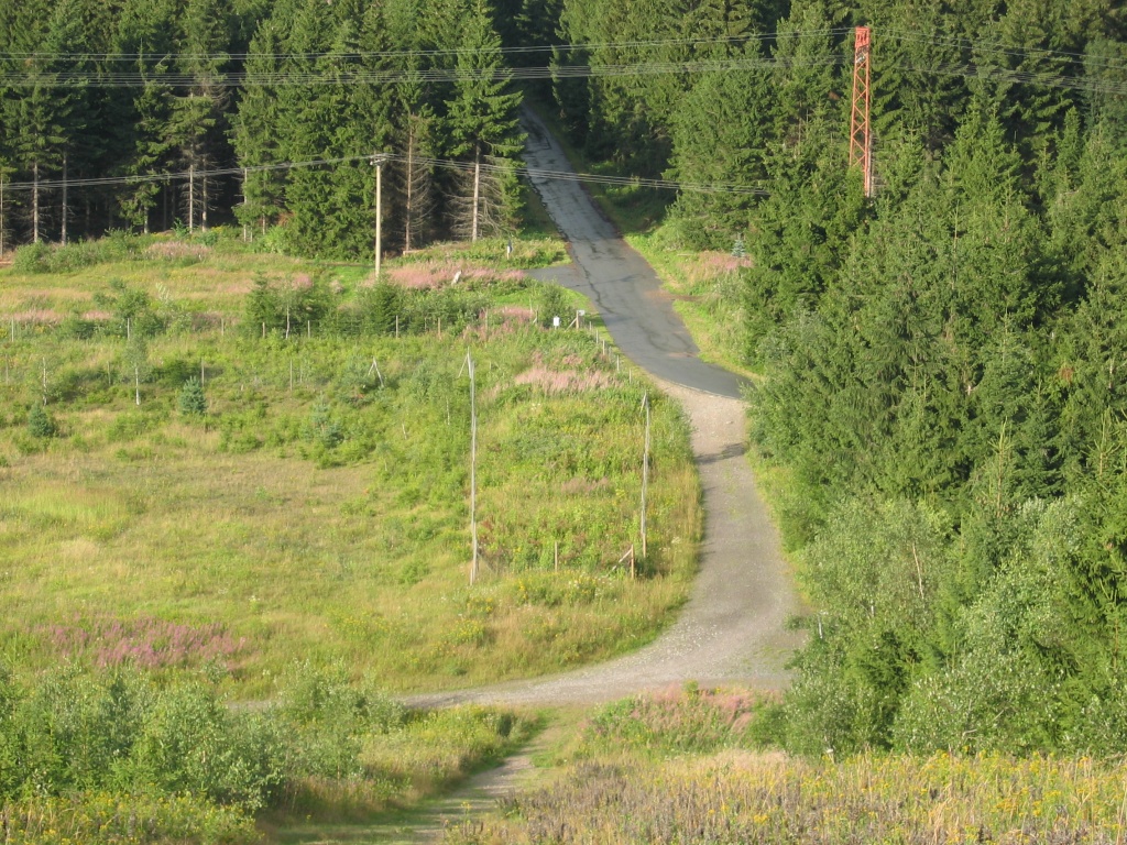 IMG_4623.JPG.jpg