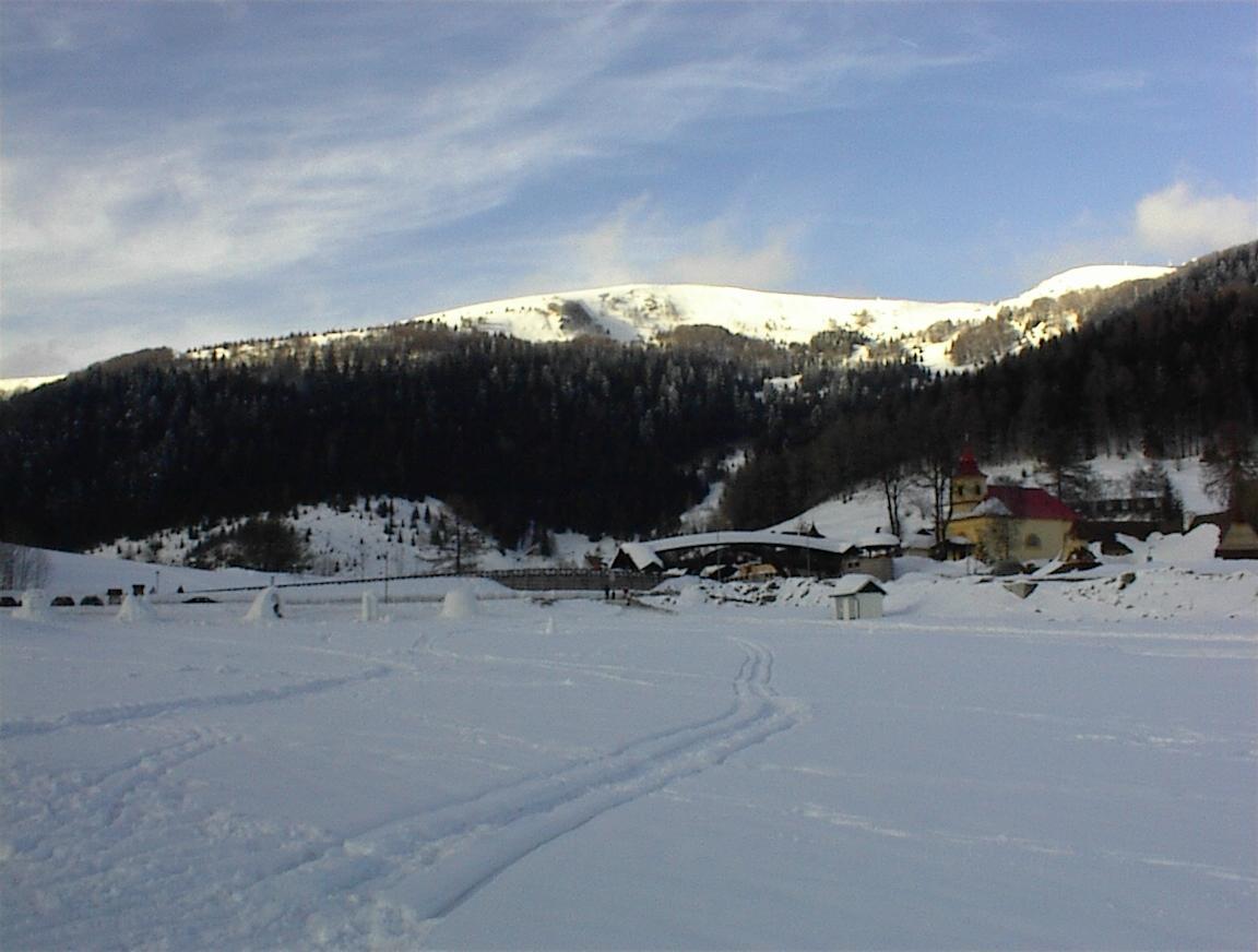 DSC00082.JPG.jpg